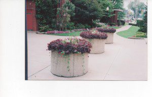 church flower 001